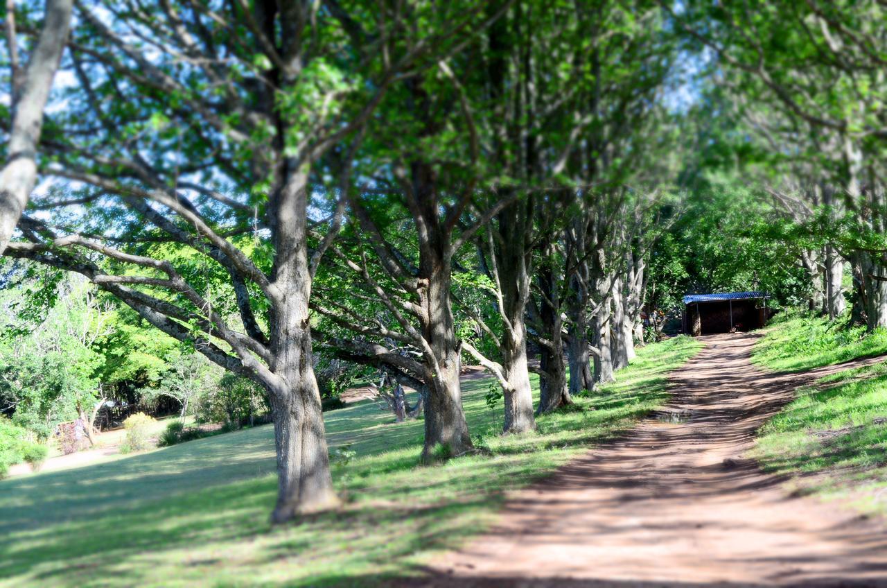 Phezulu Safari Park Villa Botha's Hill Екстериор снимка