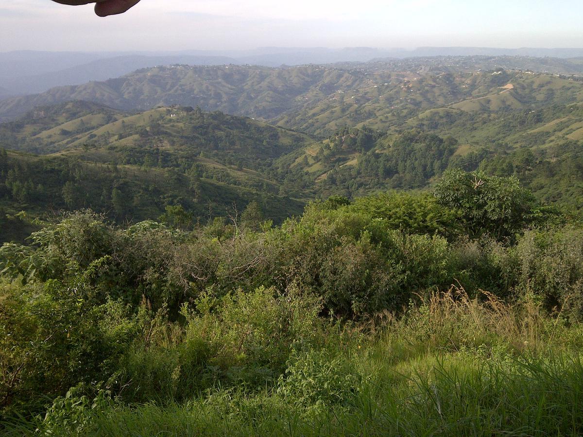 Phezulu Safari Park Villa Botha's Hill Екстериор снимка