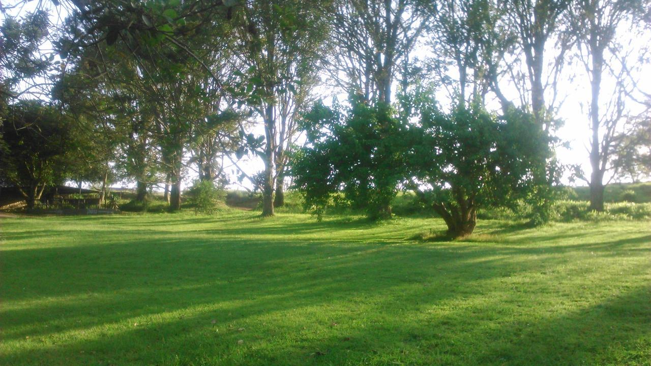 Phezulu Safari Park Villa Botha's Hill Екстериор снимка